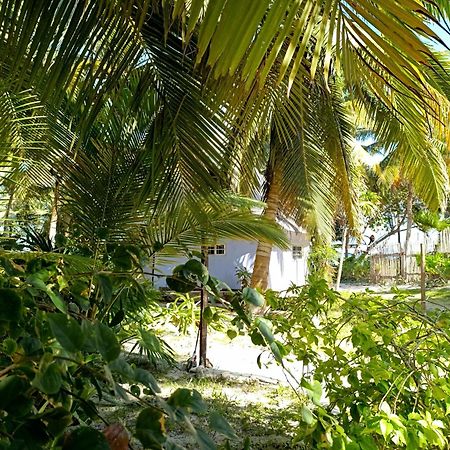 Chez Gigi - Eco Lodge Mahahual Ngoại thất bức ảnh