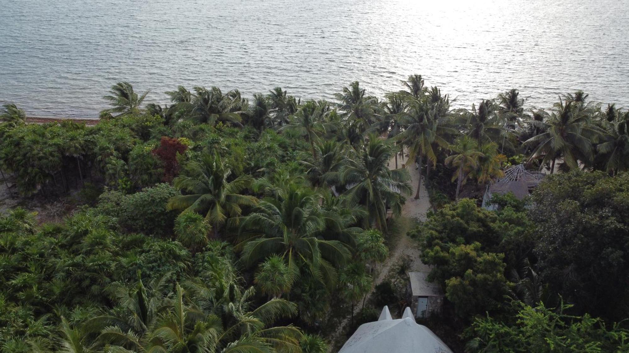 Chez Gigi - Eco Lodge Mahahual Ngoại thất bức ảnh