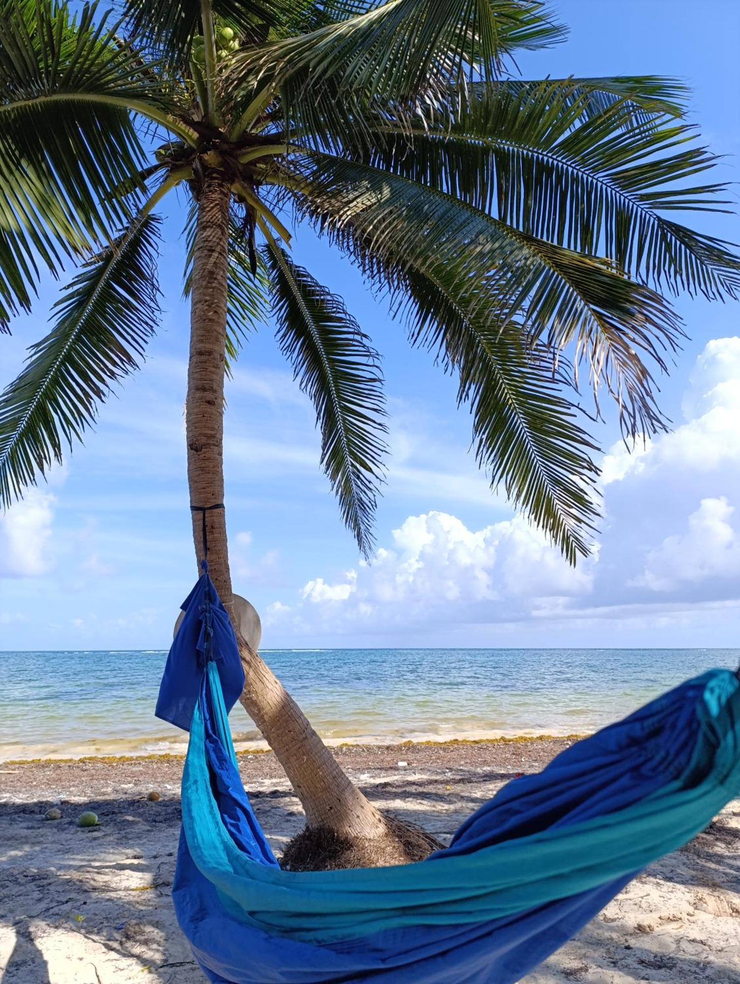 Chez Gigi - Eco Lodge Mahahual Ngoại thất bức ảnh