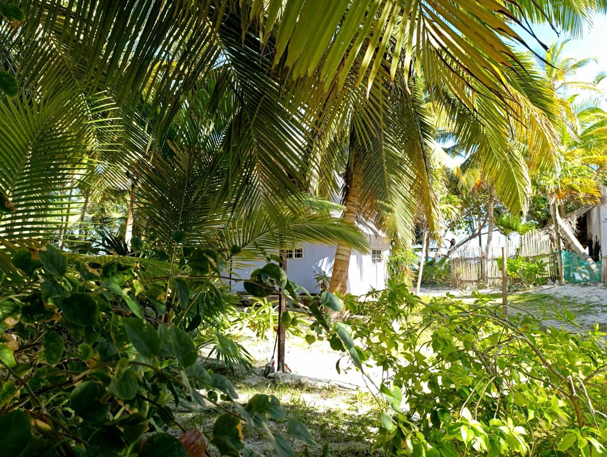 Chez Gigi - Eco Lodge Mahahual Ngoại thất bức ảnh
