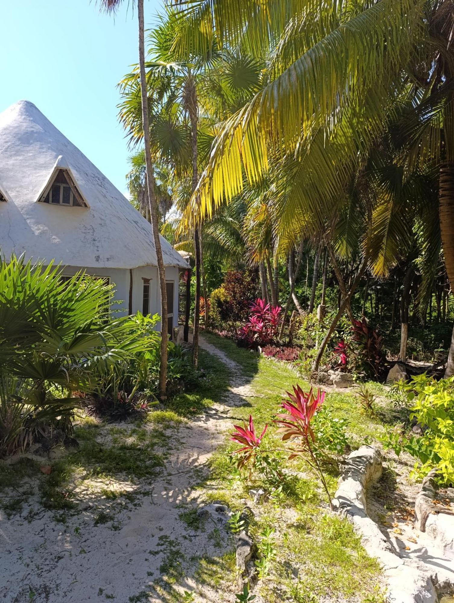 Chez Gigi - Eco Lodge Mahahual Ngoại thất bức ảnh
