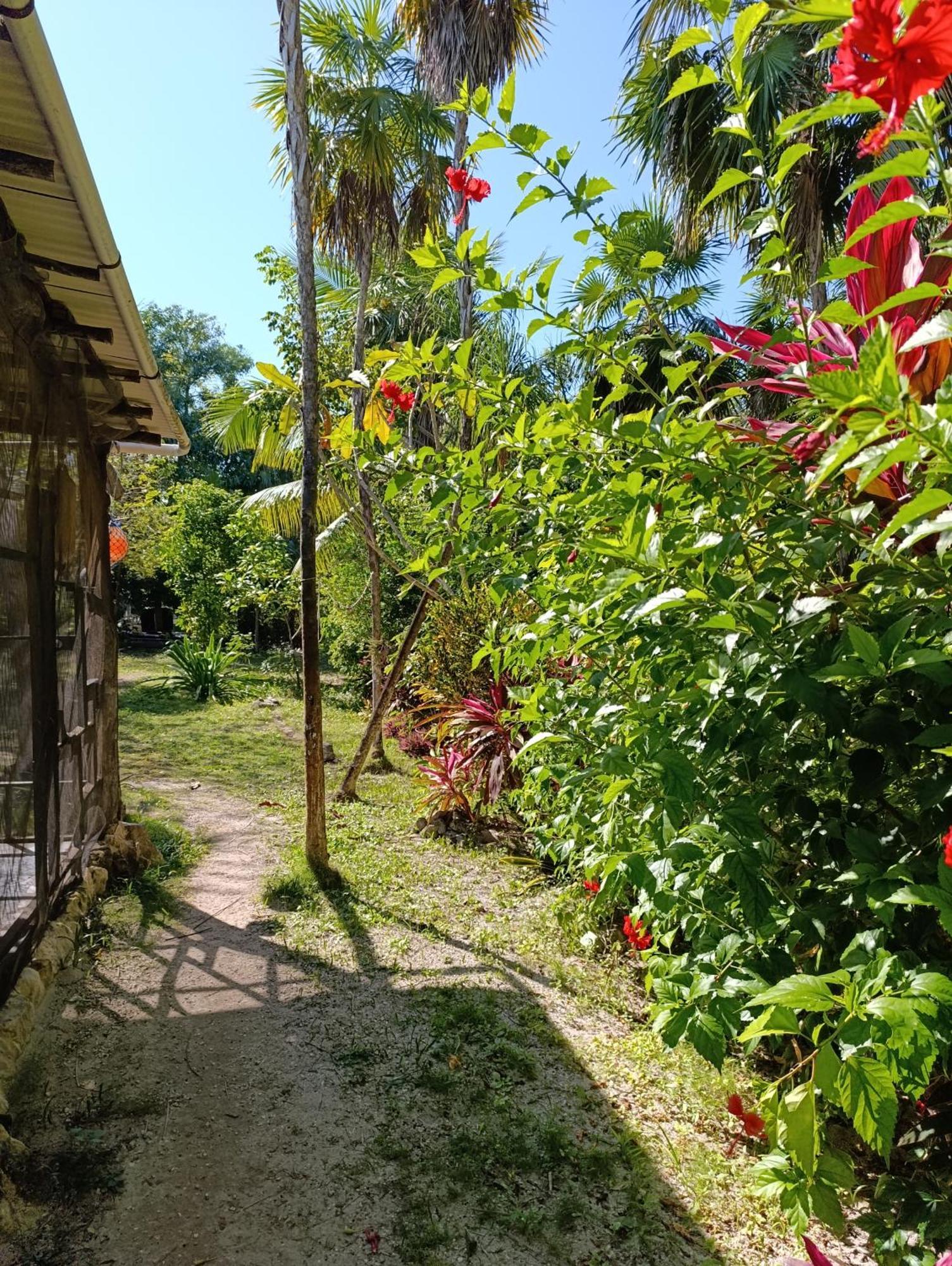 Chez Gigi - Eco Lodge Mahahual Ngoại thất bức ảnh