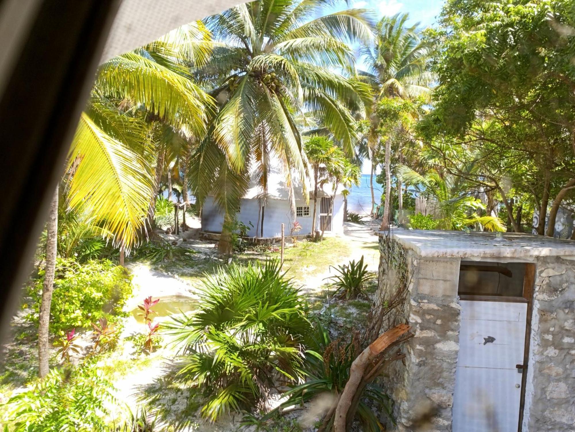 Chez Gigi - Eco Lodge Mahahual Ngoại thất bức ảnh